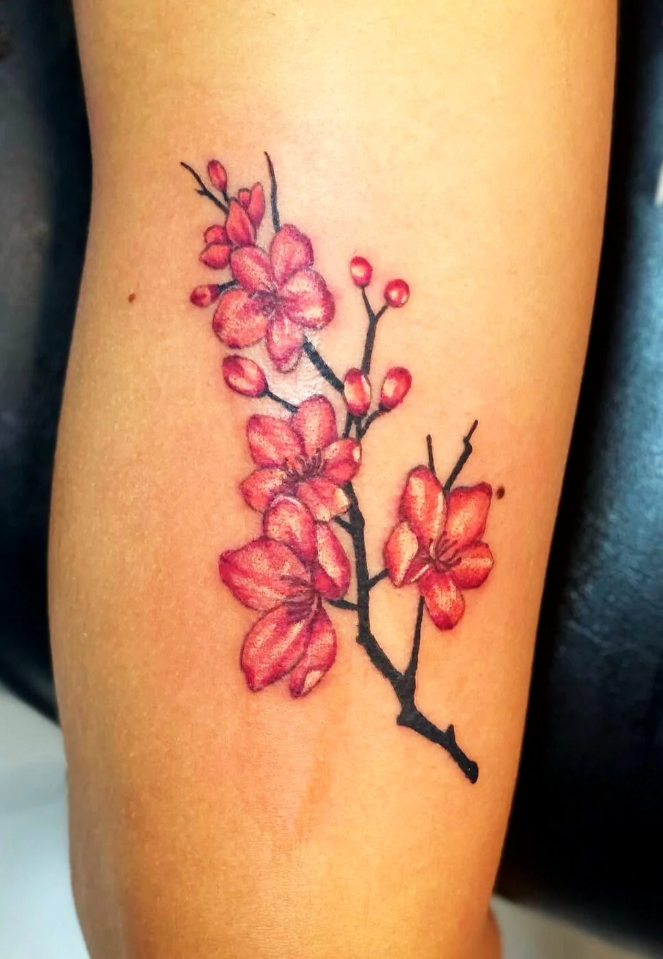Color Realism pink cherry blossom branch tattoo on forearm by 2bit (Chris Curren) at Lost at Sea Tattoo, Chinatown, Honolulu Color Realism pink cherry blossom branch tattoo on forearm by 2bit (Chris Curren) at Lost at Sea Tattoo, Chinatown, Honolulu